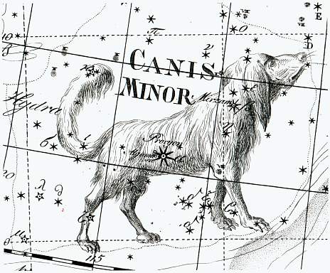 Canis Minor