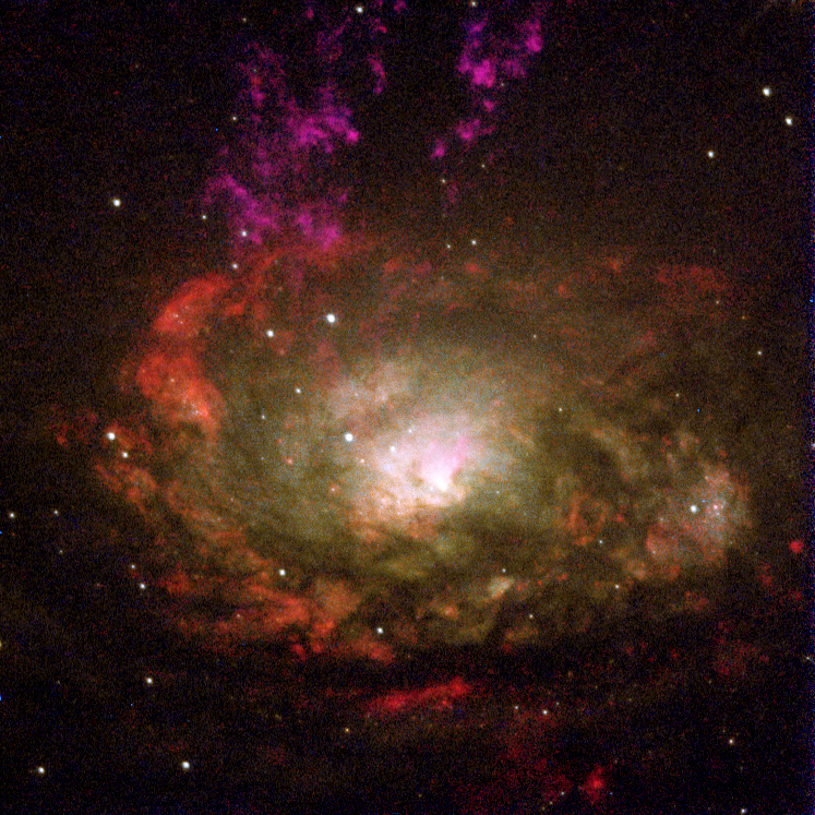 Circinus Galaxy