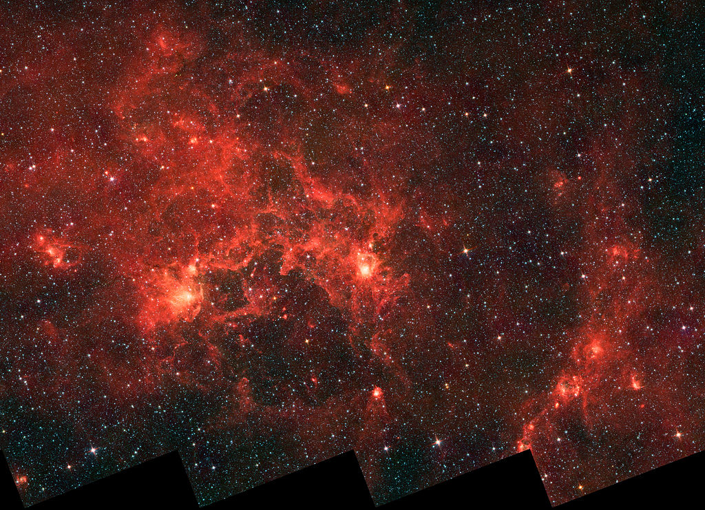 Dragonfish Nebula