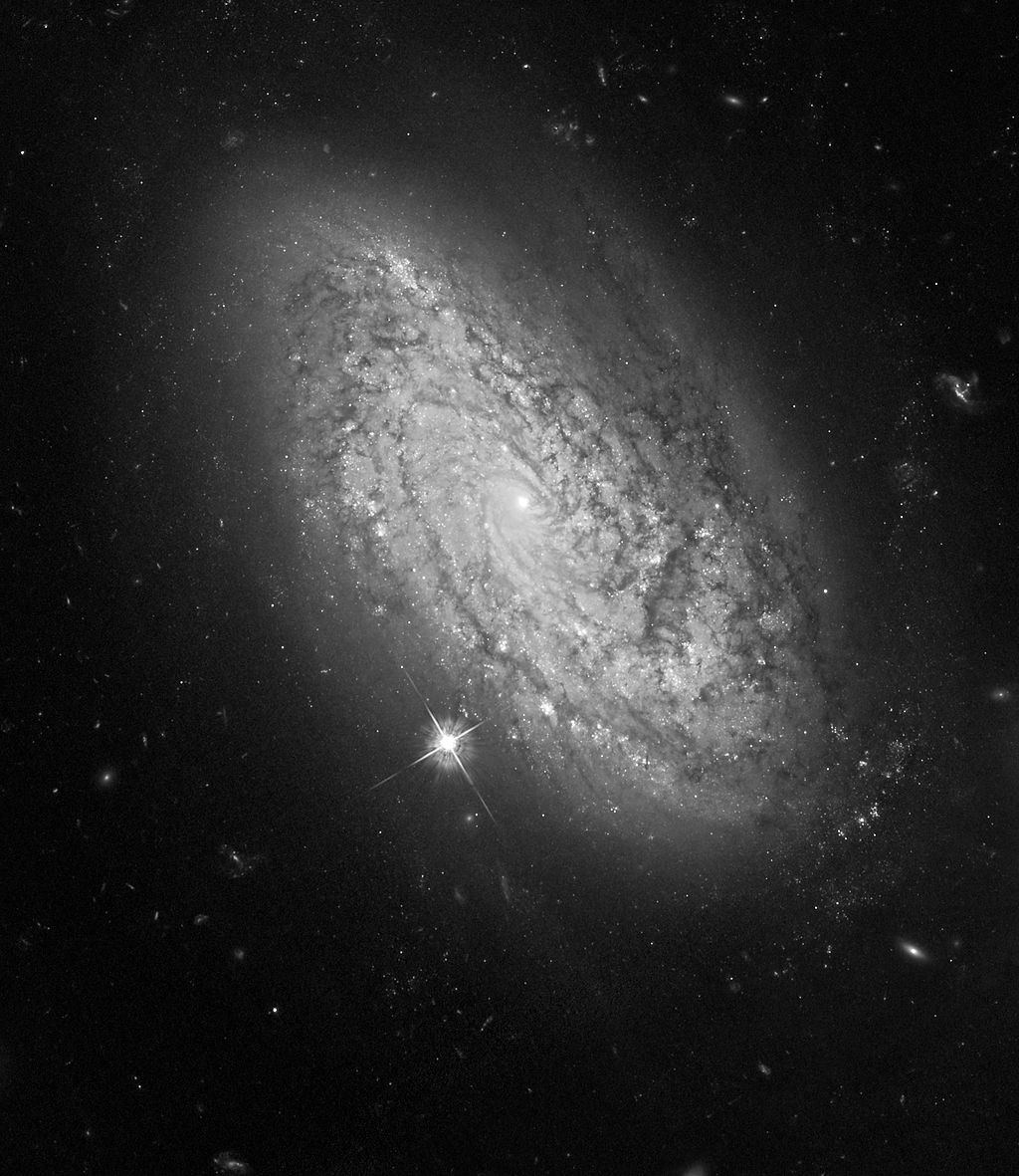 NGC 3021