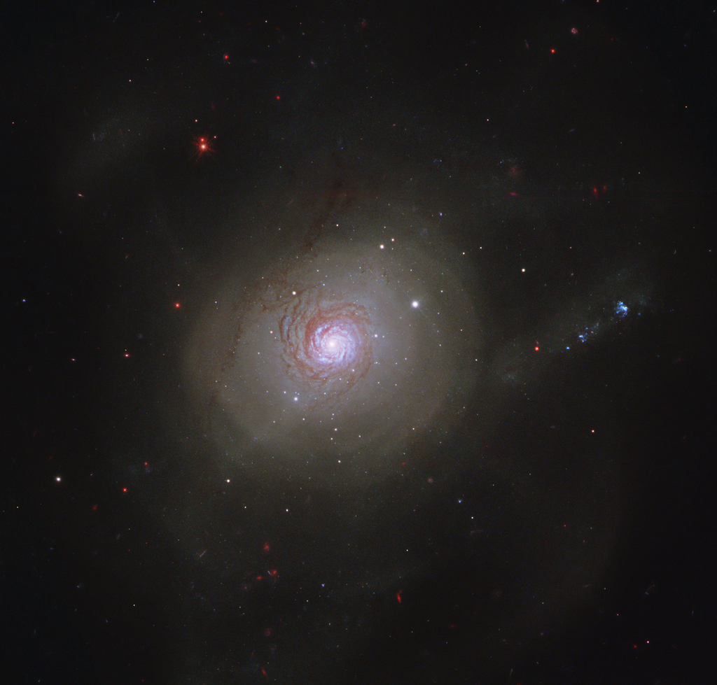 NGC 7252