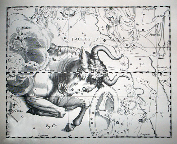 Taurus by Johannes Hevelius