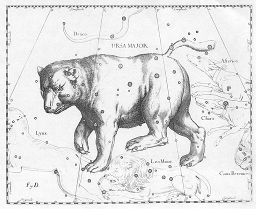 Ursa Major by Johannes Hevelius