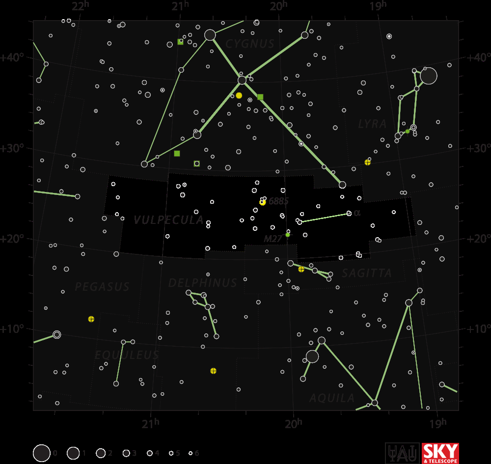 Vulpecula